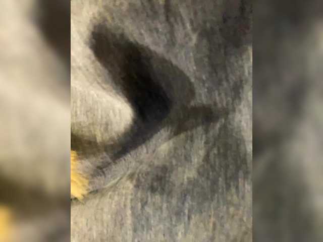 Lisa1225's BongaCams show and profile