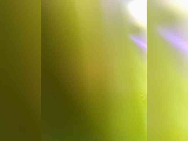 Lisa1225 webcam