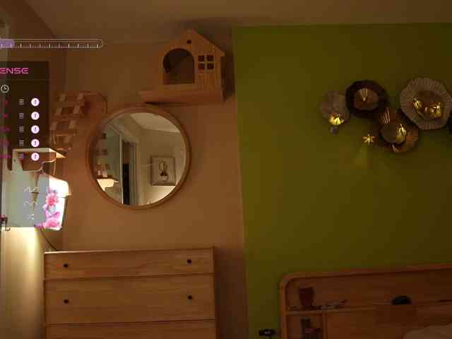 GessiFossa webcam