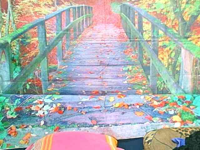 matureindian webcam