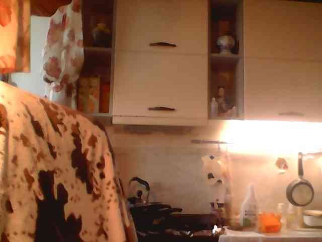 AlyaBest webcam