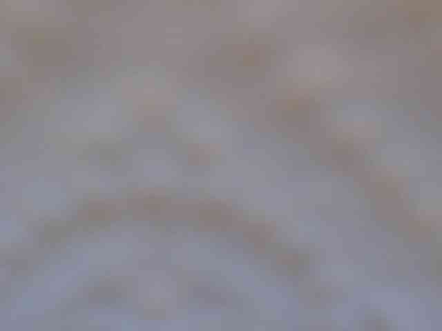 RobertaFox webcam