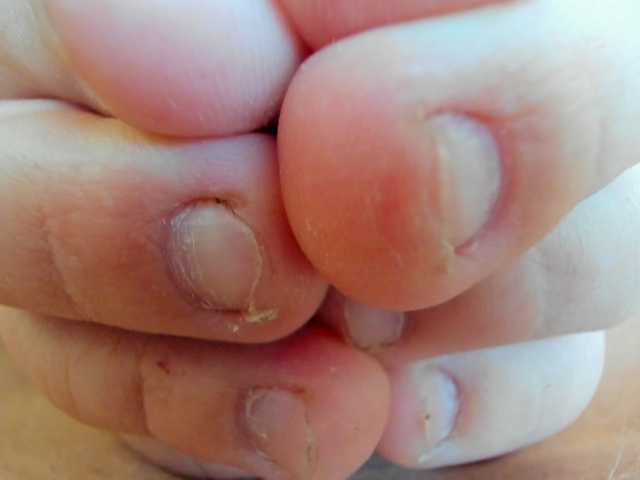 AZavisimost's BongaCams show and profile