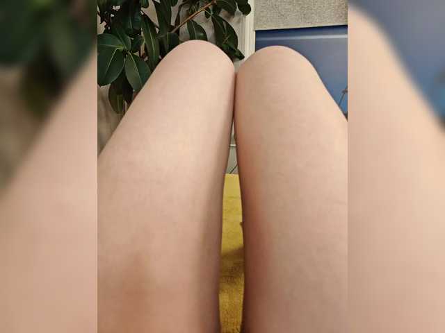 Misslyolika's BongaCams show and profile