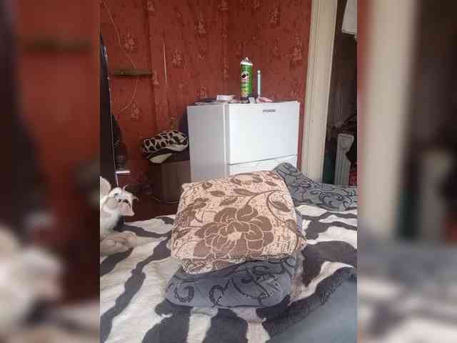 557_SexyNaturalka669 webcam