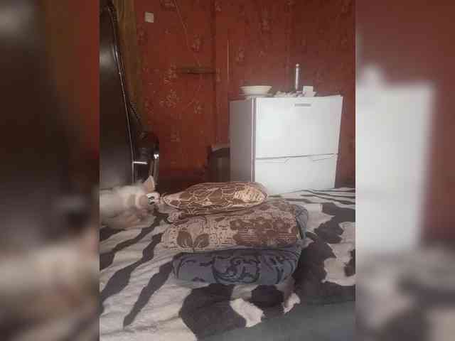 222_SexyNaturalka345 webcam