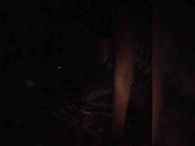 999_SexyNaturalka3_333 webcam