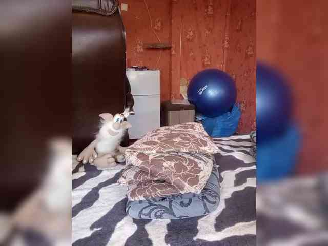 228_SexyNaturalka348 webcam