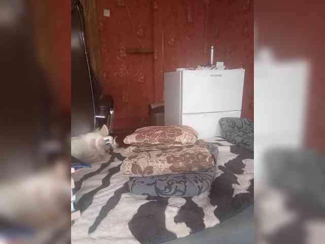 222_SexyNaturalka345 webcam