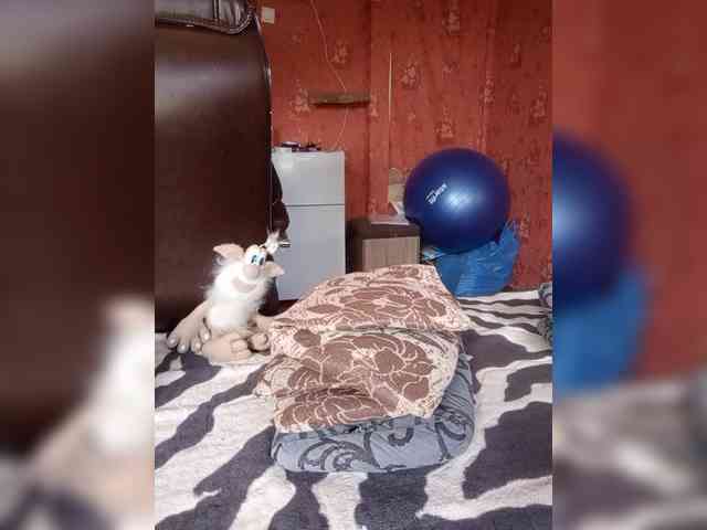 228_SexyNaturalka348 webcam