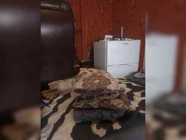 557_SexyNaturalka667 webcam