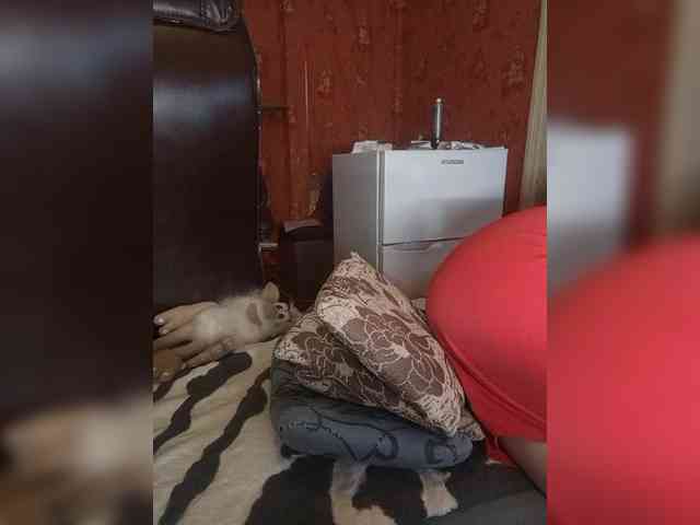 557_SexyNaturalka667 webcam