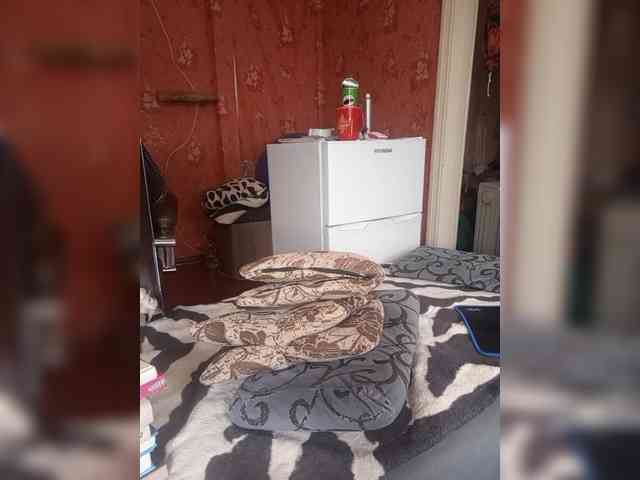 557_SexyNaturalka669 webcam