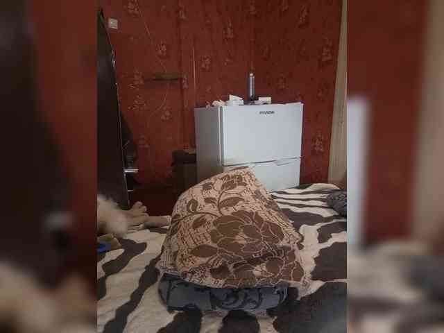 228_SexyNaturalka348 webcam