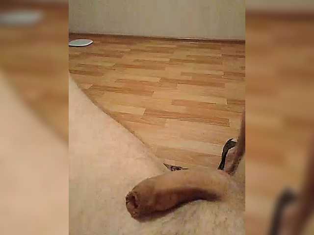 mister88777