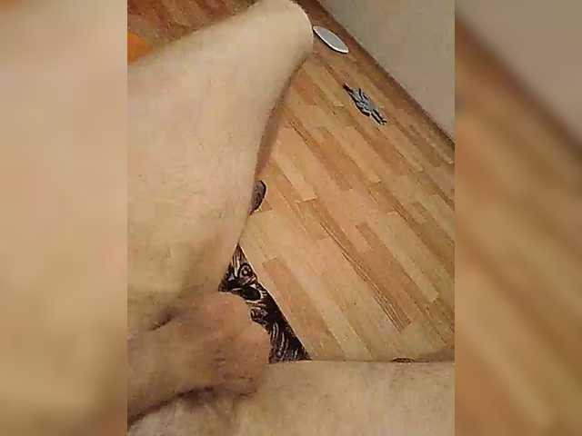 mister88777