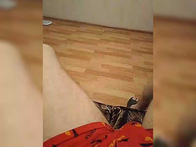 mister88777