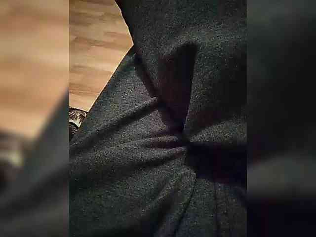 mister88777 mister88777