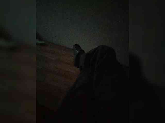 mister88777 mister88777