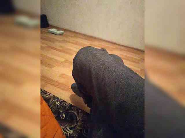 mister88777 mister88777