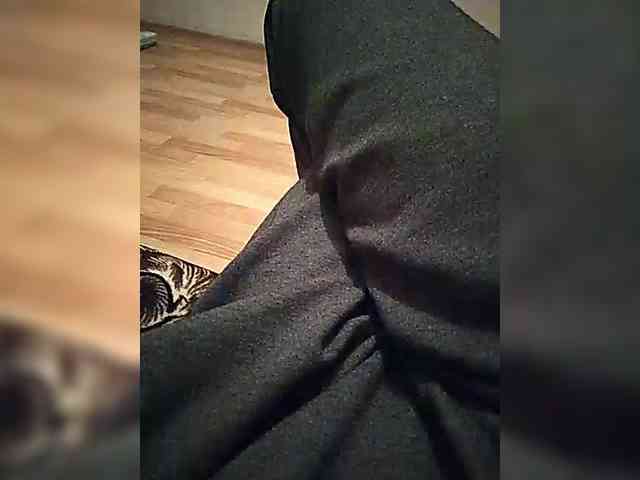 mister88777 mister88777