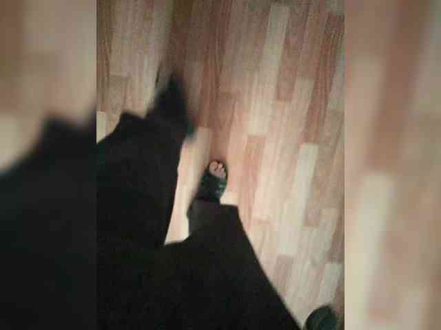 mister88777 mister88777