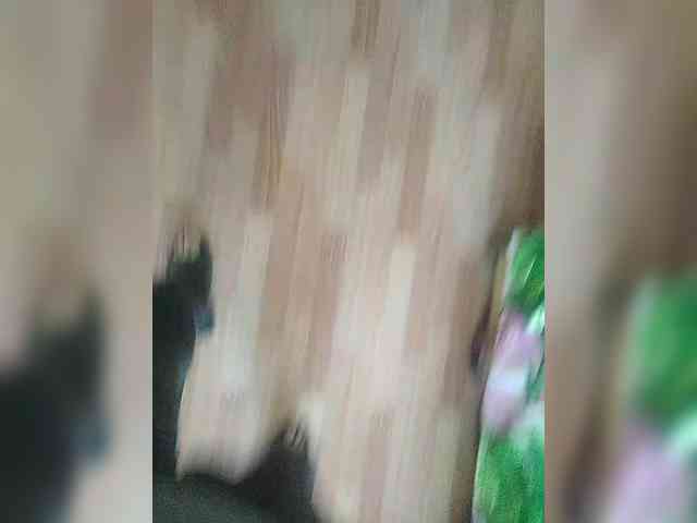 mister88777 mister88777