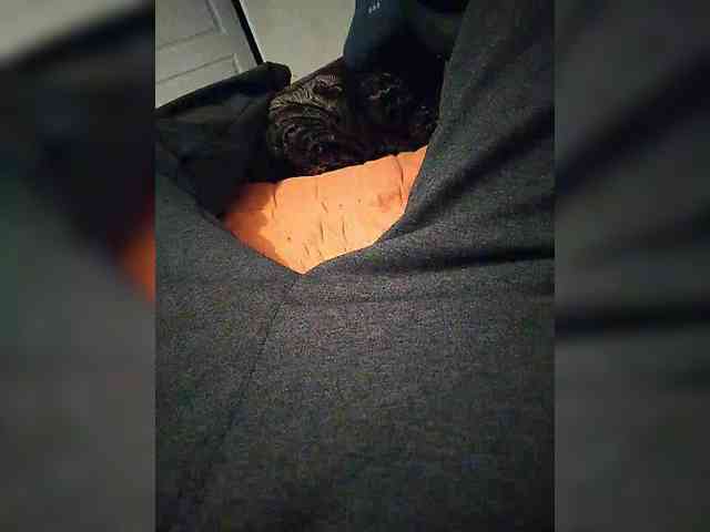 mister88777 mister88777