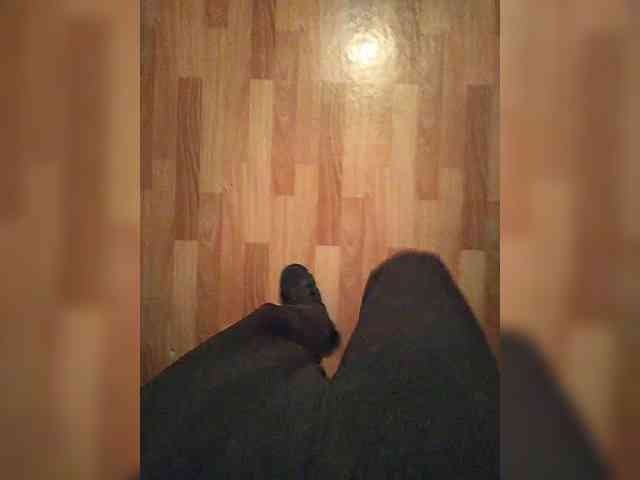 mister88777 mister88777