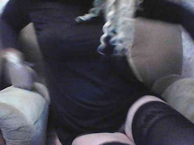 xxpussycatxxx Live Webcam on BongaCams