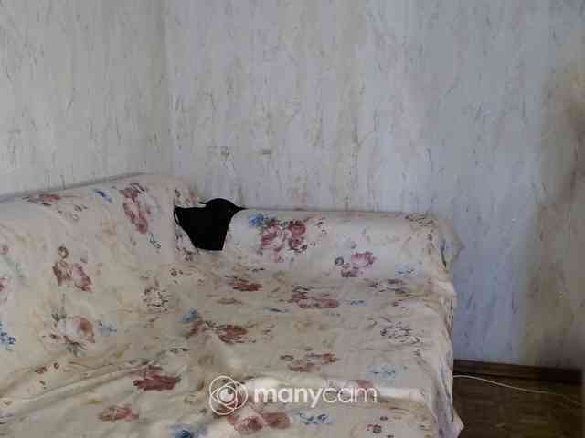 live chat nude KedraLuv