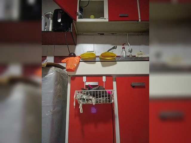 DirtyBiancax — Welcome dear users. help Complete the goal and I'll fuck my ass for 3 minutes with a dildo. Let's have some fun.