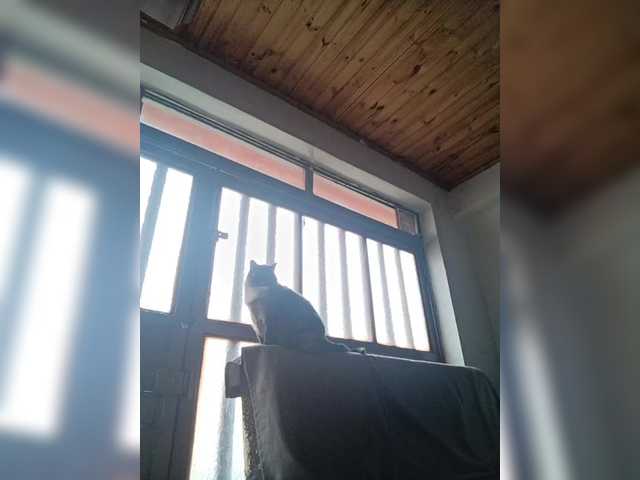 dirtybiancax live sex