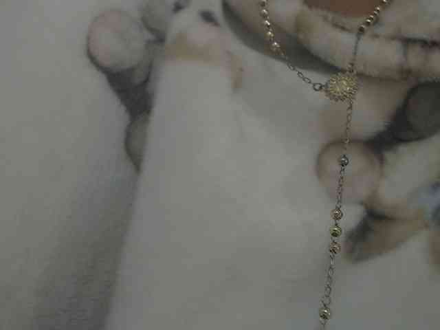 Angel_Dm_Milf webcam