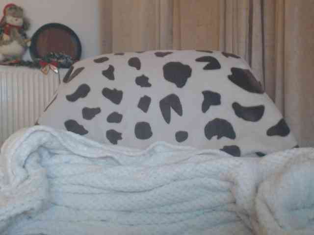 DivineBlond DivineBlond