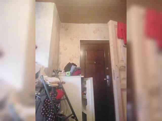 pautina100 webcam
