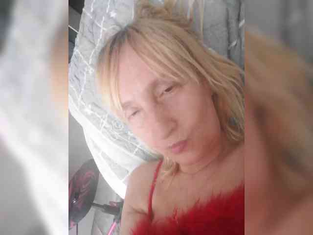 pautina100 webcam