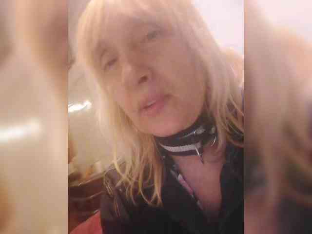 pautina100 webcam