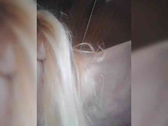pautina100 webcam