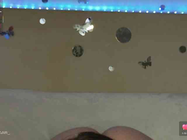 ItalianDream_ webcam