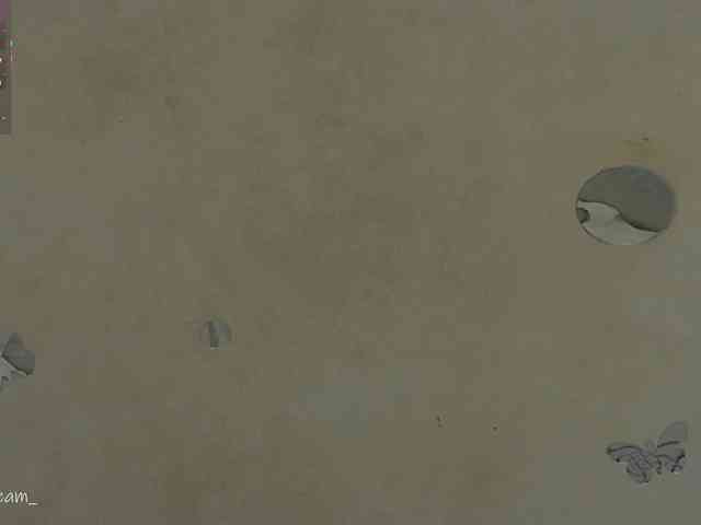 ItalianDream_ webcam