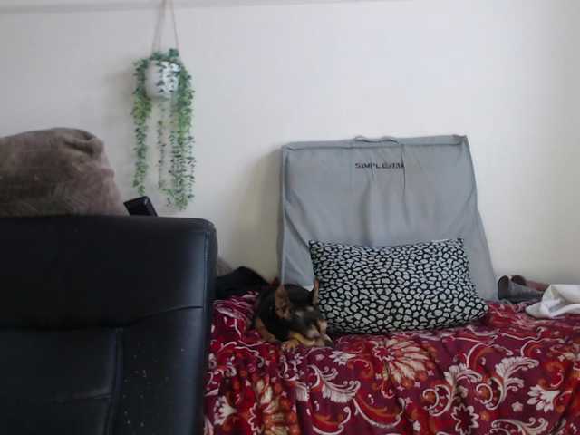 titanic-tits's BongaCams show and profile