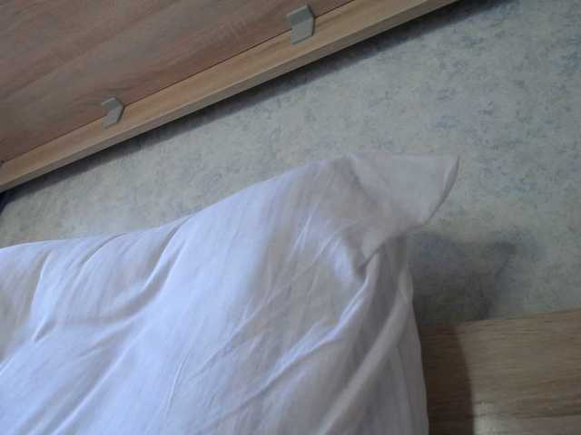 tvoyaigrushka cam belle