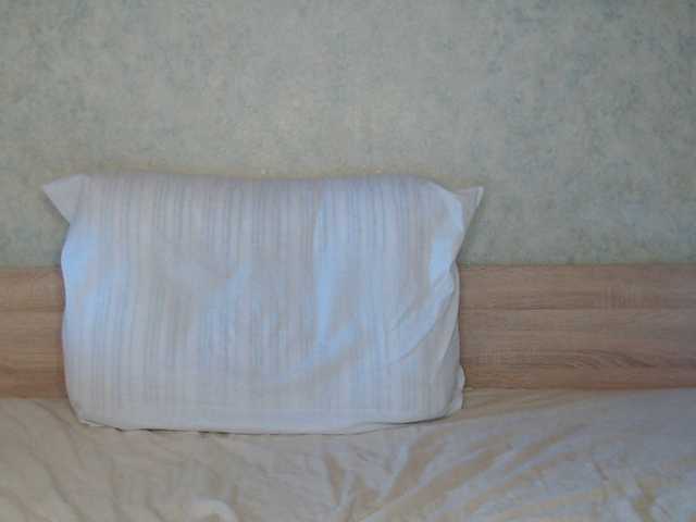 tvoyaigrushka online