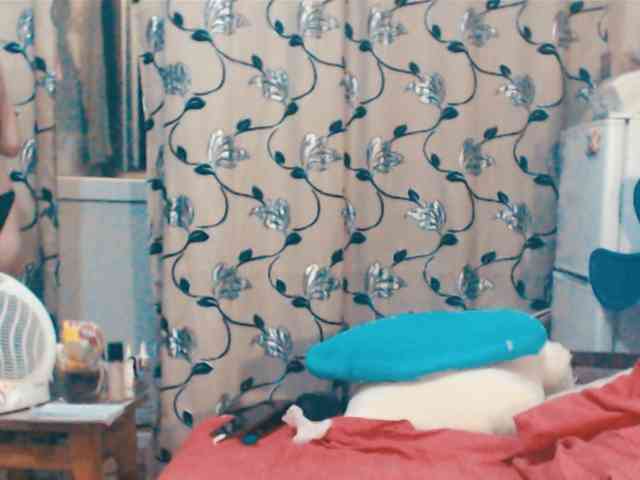 DeoMatissta webcam