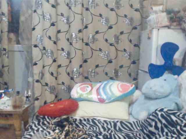 DeoMatissta webcam