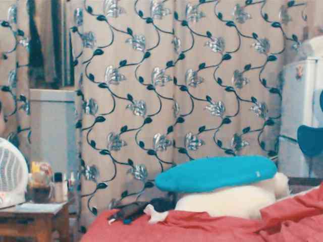 DeoMatissta webcam