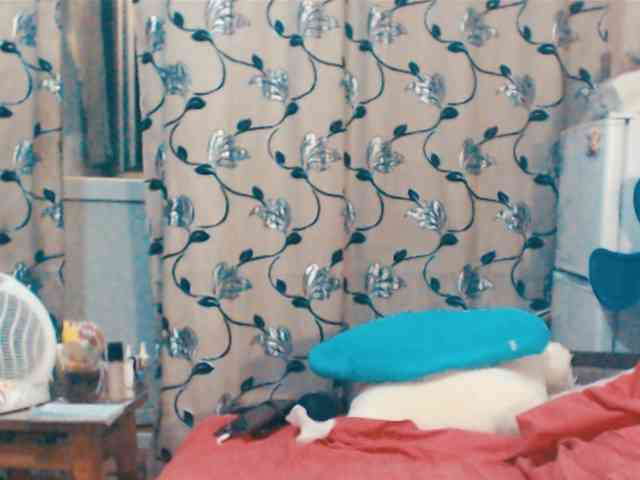 DeoMatissta webcam
