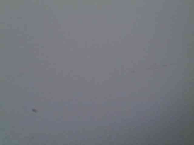 Liqweed85 Live Webcam on BongaCams