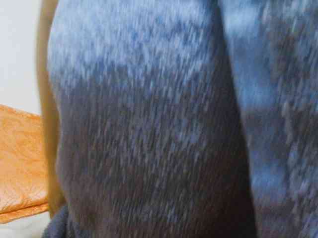 CrazyMary777 webcam